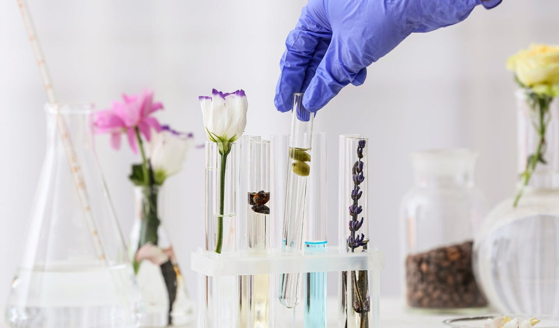 Die Kunst der Duftpyramide: Eine Reise durch die Aromawelt der Parfume - Kazaar