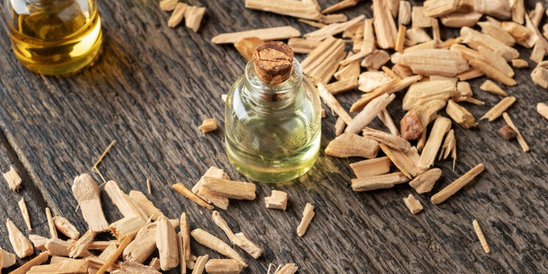 Feiner Zedernholz Duft: Die perfekte Basis für Herren-Parfum - Kazaar